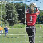 schwem09